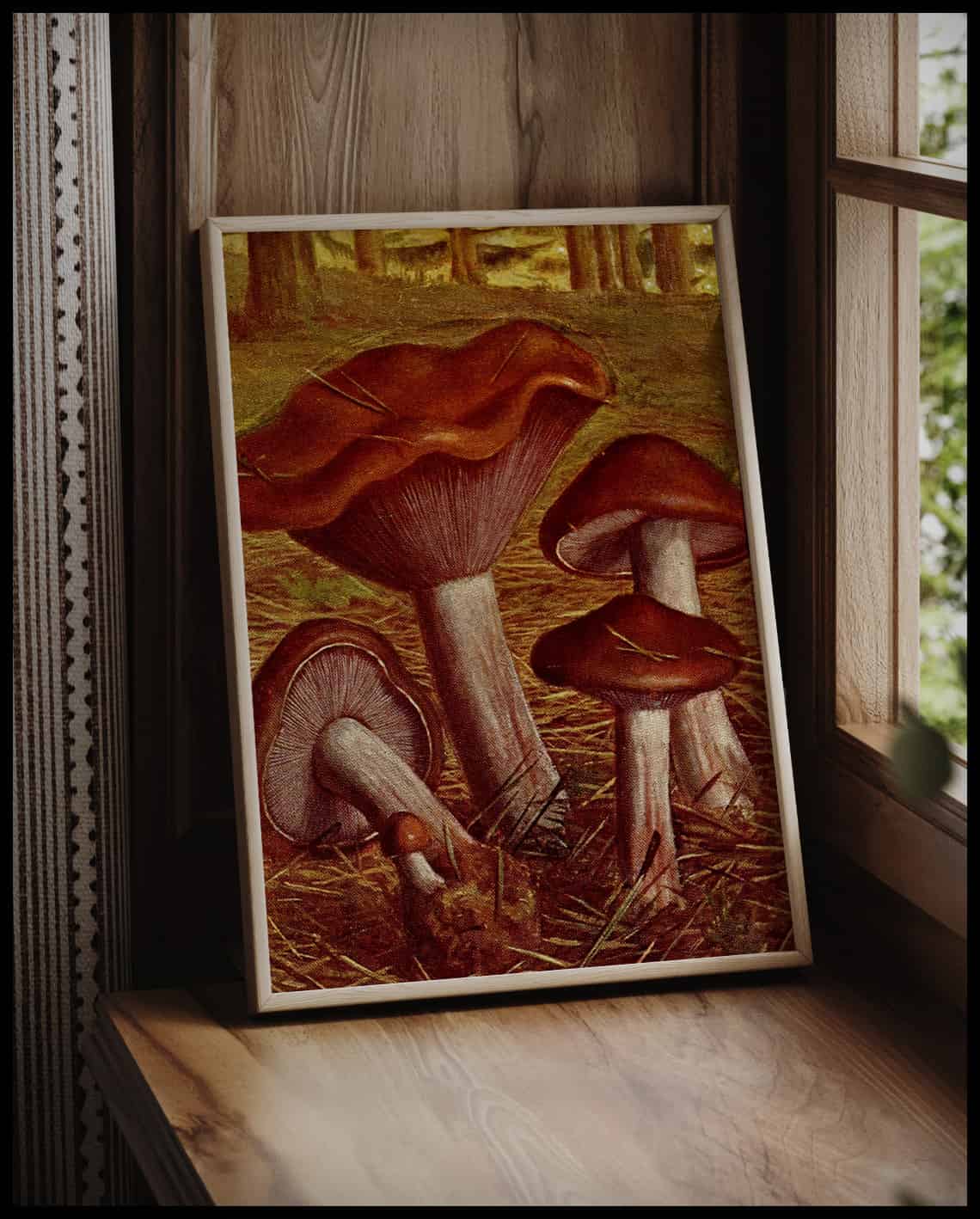 Tricholoma Nudum