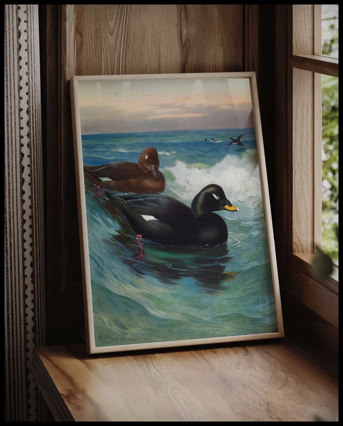 Velvet duck poster