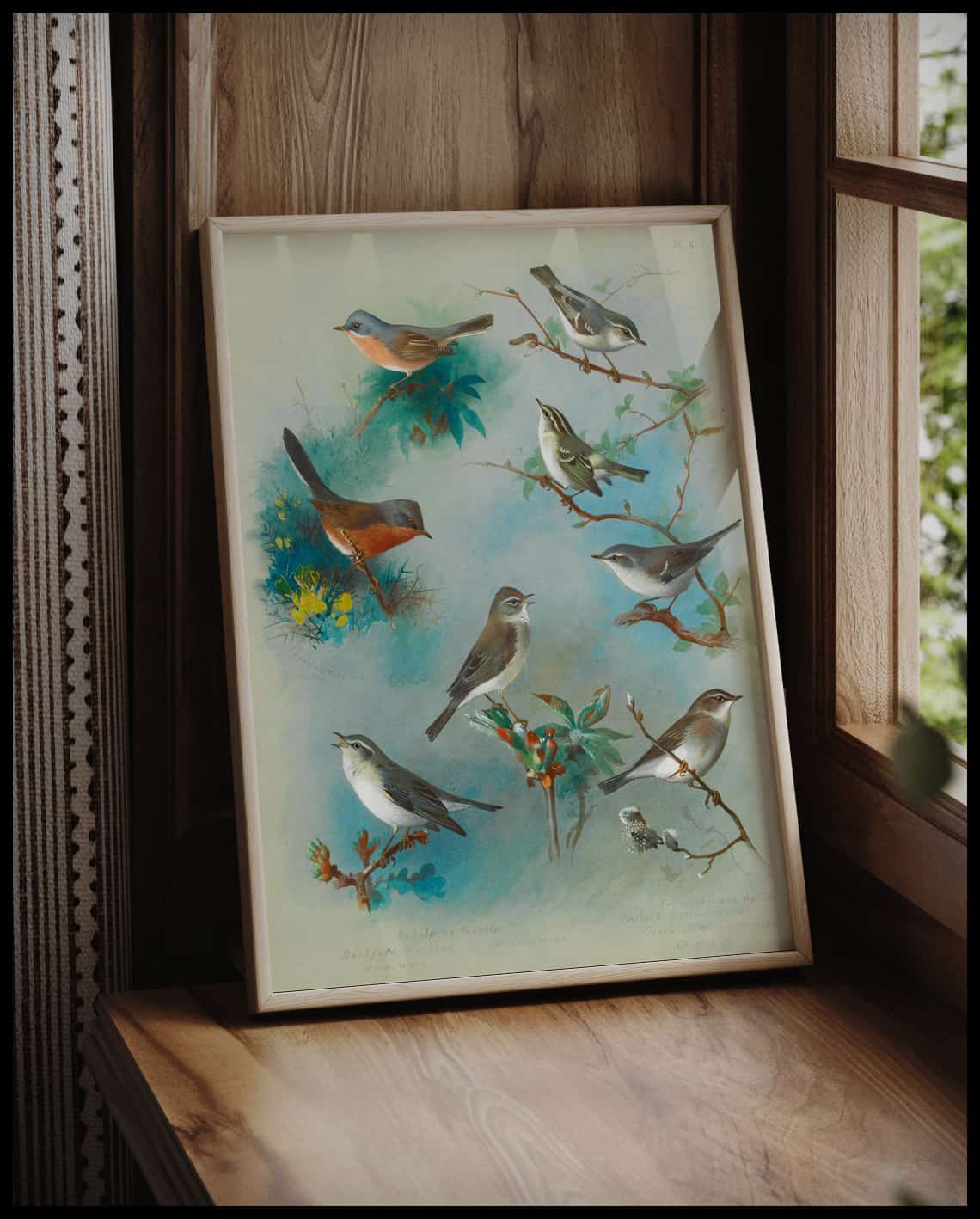 Wrens poster