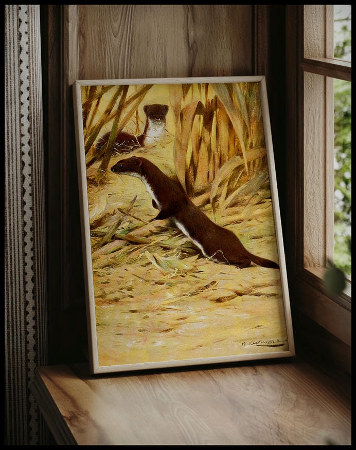 Weasel