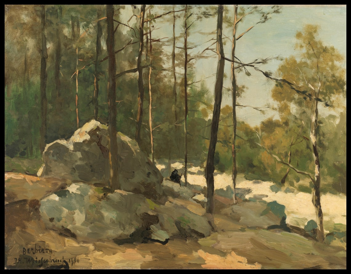 Vue boisée près de Barbizon