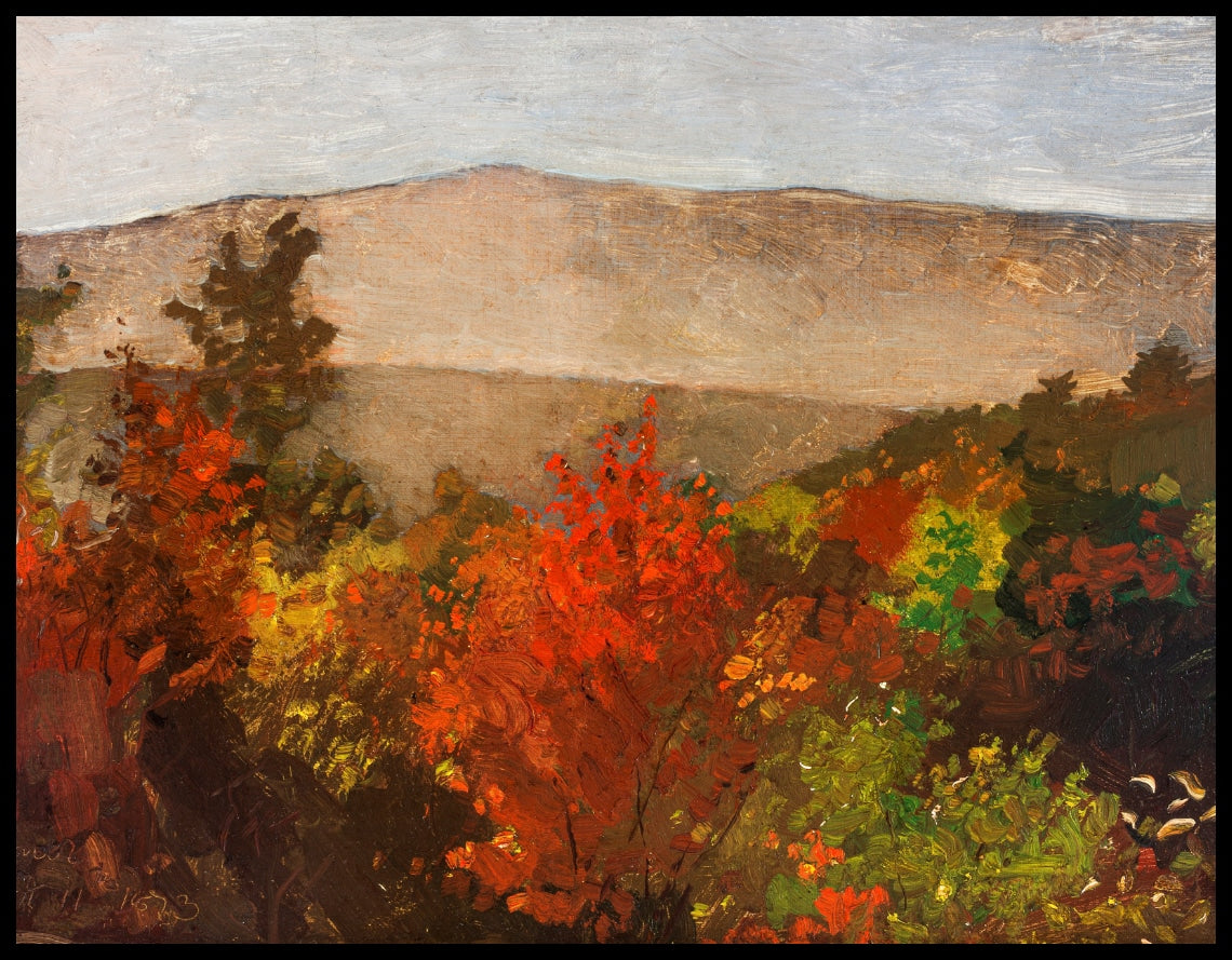 Treetops d'automne