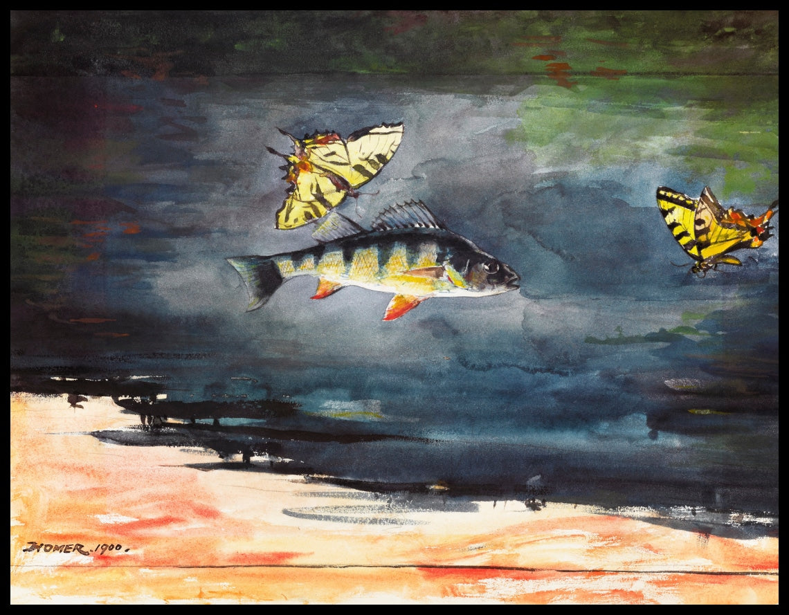 Fish And Butterflies (poisson et papillons)