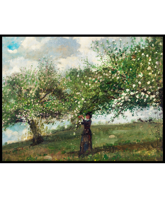 Girl Picking Apple Blossoms