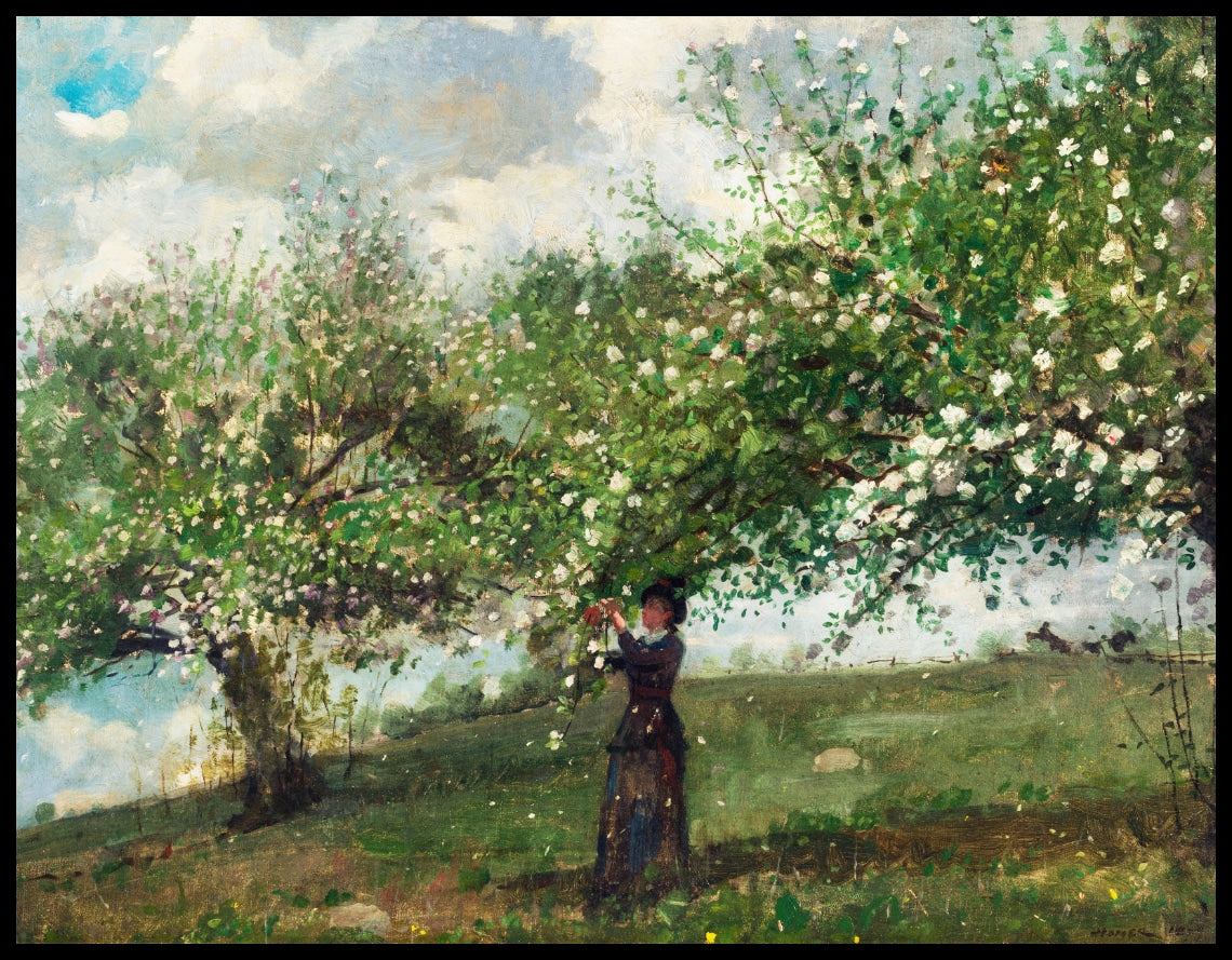 Girl Picking Apple Blossoms