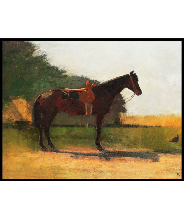 Saddle Horse In Farm Yard