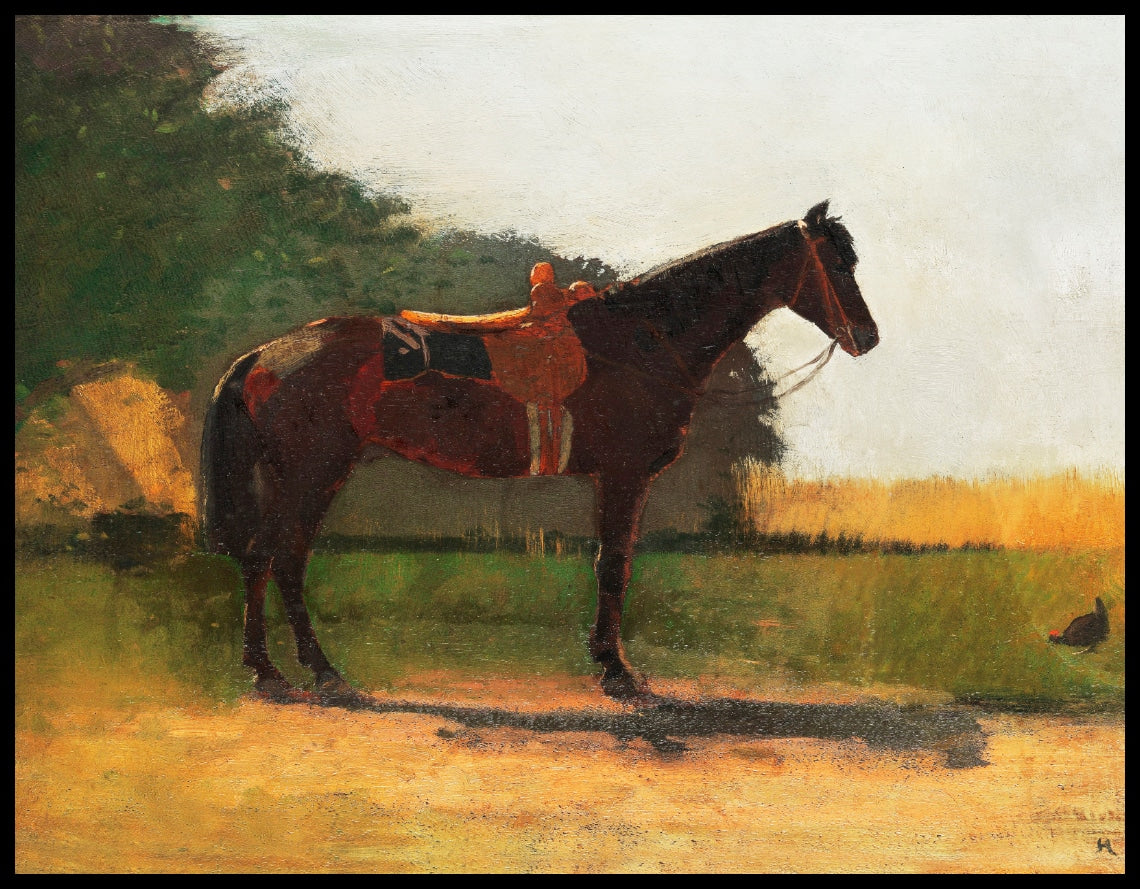 Saddle Horse In Farm Yard