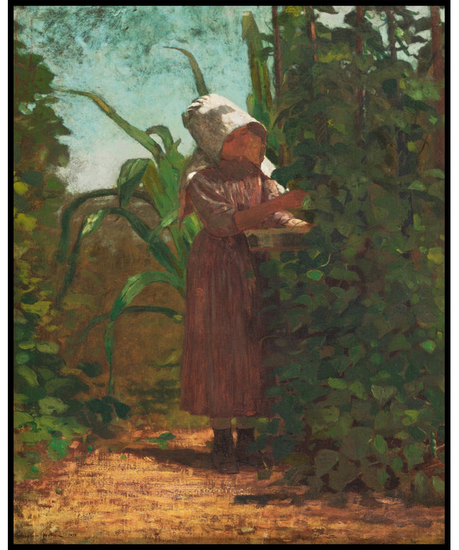 The Bean Picker