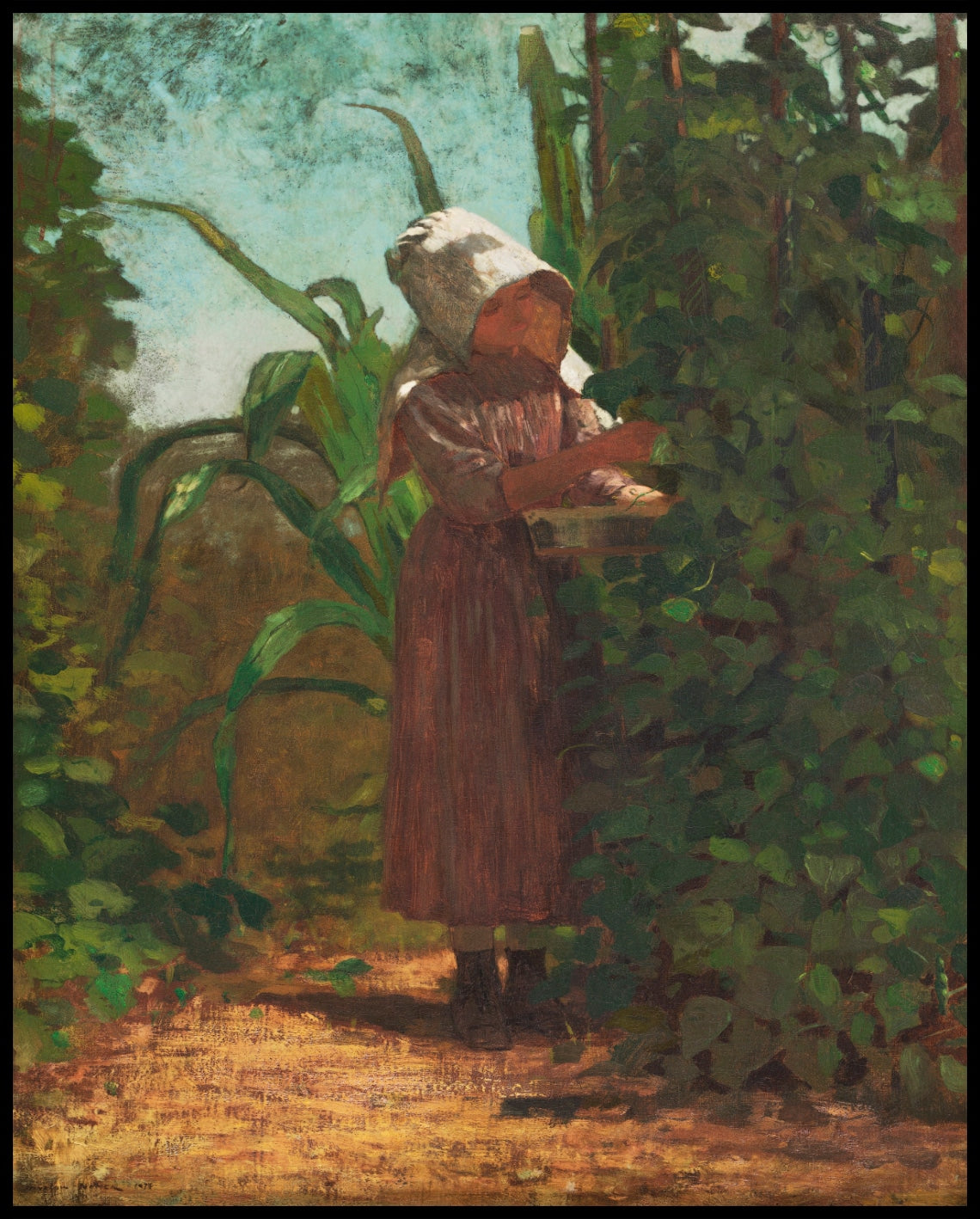 Le ramasseur de haricots