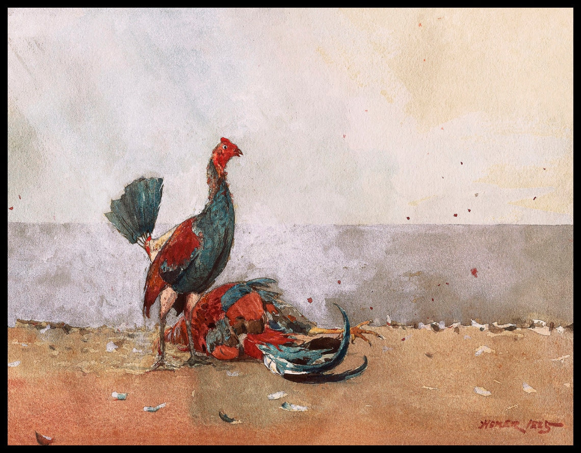 Le combat de coqs
