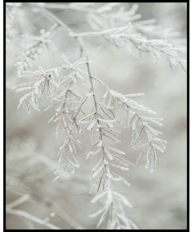 Ein Poster einer Nahaufnahme von einem gefrorenen Zweig.