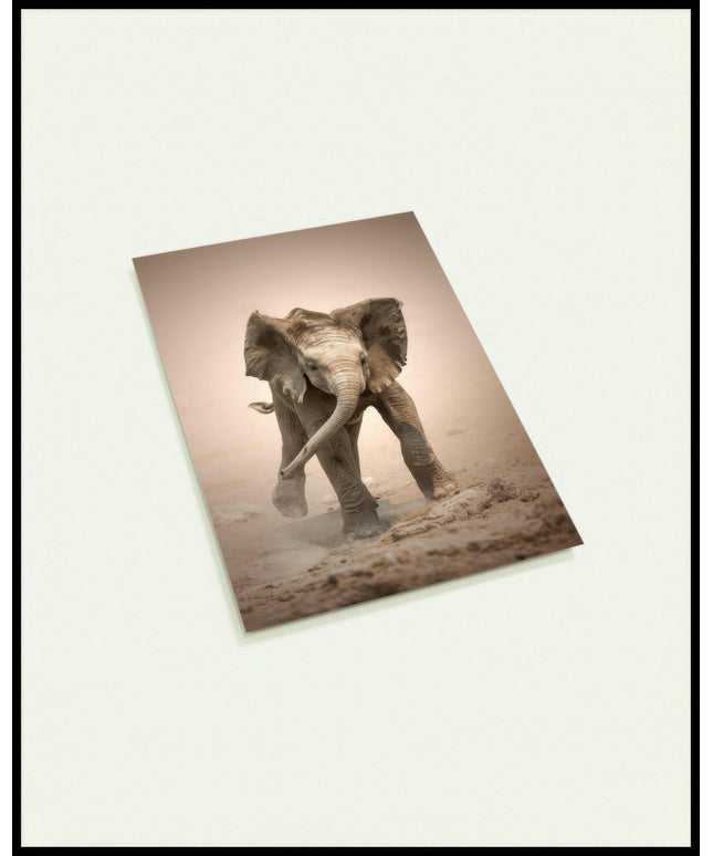 Eine Postkarte von einem Baby-Elefanten in einer trockenen Landschaft.