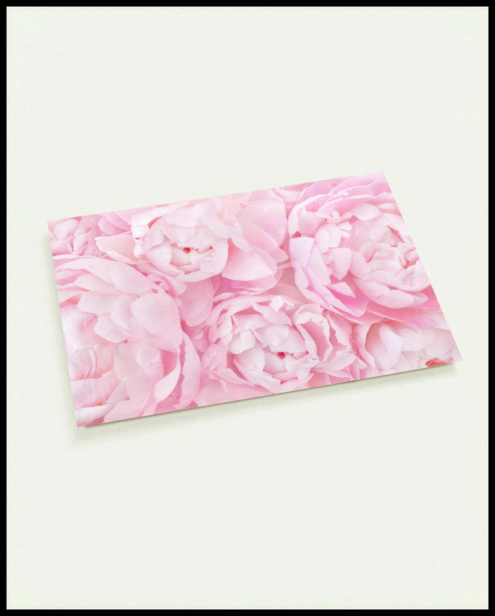 Eine Postkarte von zarten, rosa Blüten in voller Blüte.