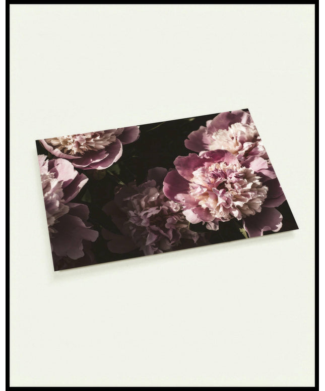 Eine Postkarte von blühenden Pfingstrosen in verschiedenen Rosa- und Lilatönen.