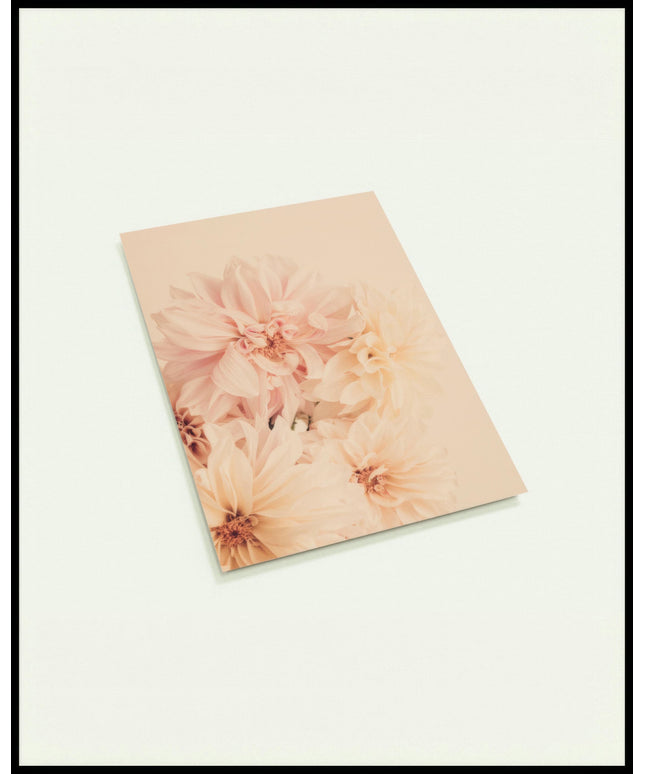 Eine Postkarte von zarten, pastellfarbenen Dahlienblüten.
