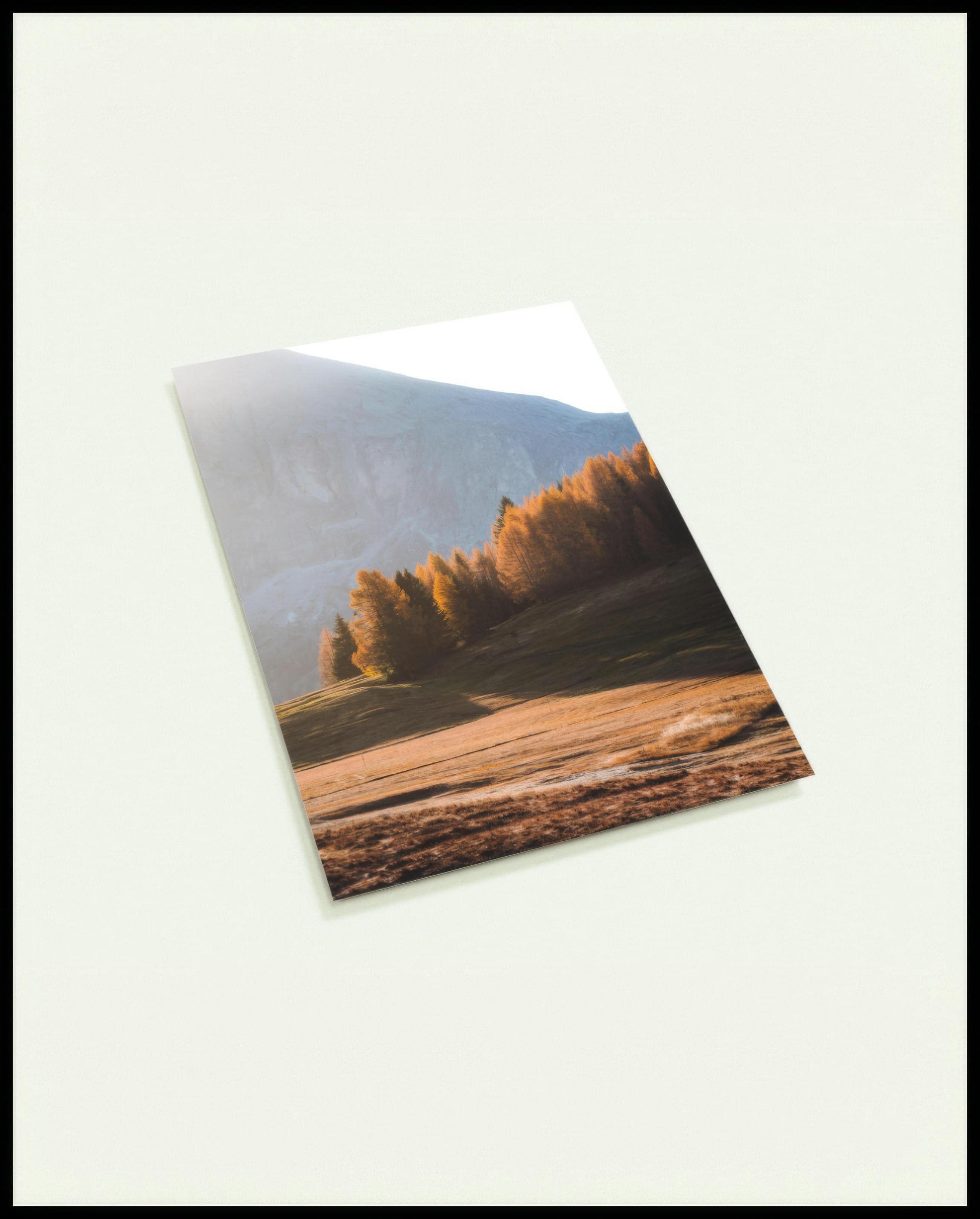 Eine Postkarte von einer Herbstlandschaft in den Dolomiten mit Bäumen im Sonnenlicht.