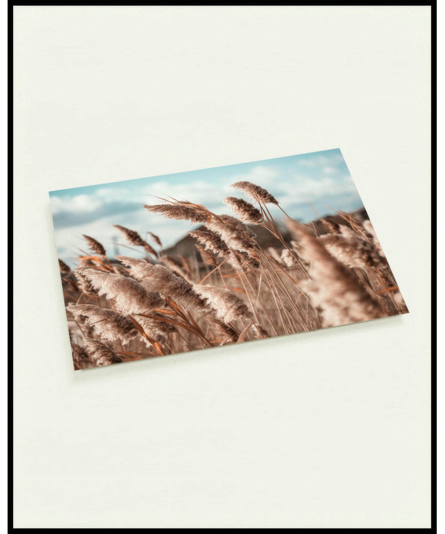 Eine Postkarte von schilfartigen Pflanzen, die im Wind wehen.