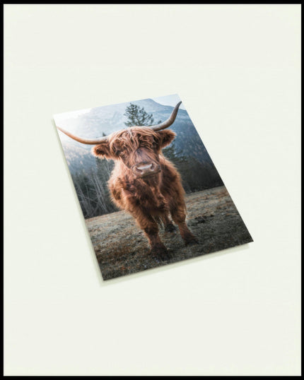 Eine Postkarte von einem Highland-Rind, das in einer Gebirgslandschaft steht.