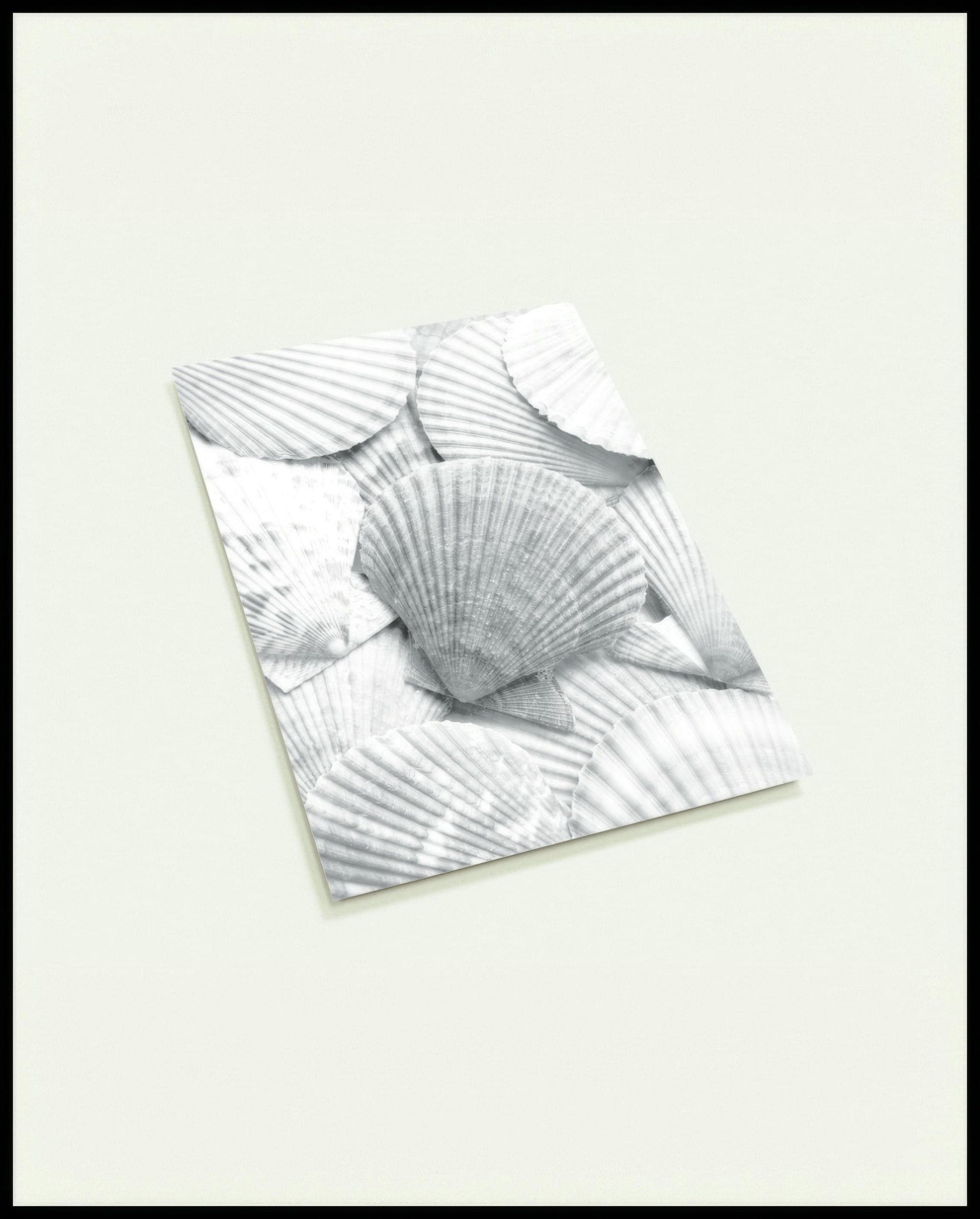 Eine Postkarte von einer großen Muschel auf feinem weißen Sand.