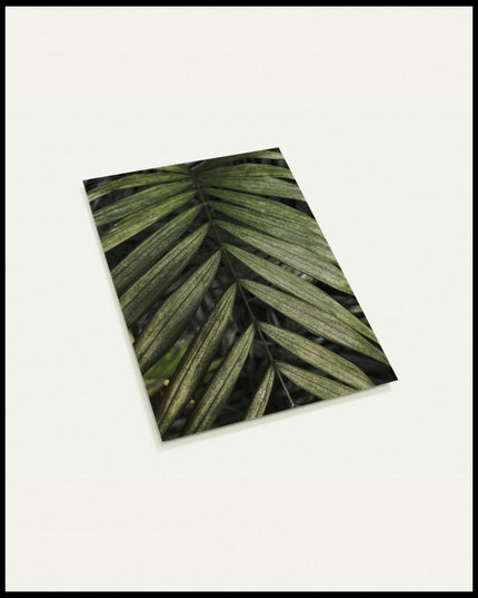 Eine Postkarte einer Nahaufnahme von einem feinen, grünen Palmenblatt.