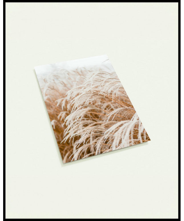 Eine Postkarte von Pampasgras, das sich im Wind bewegt.