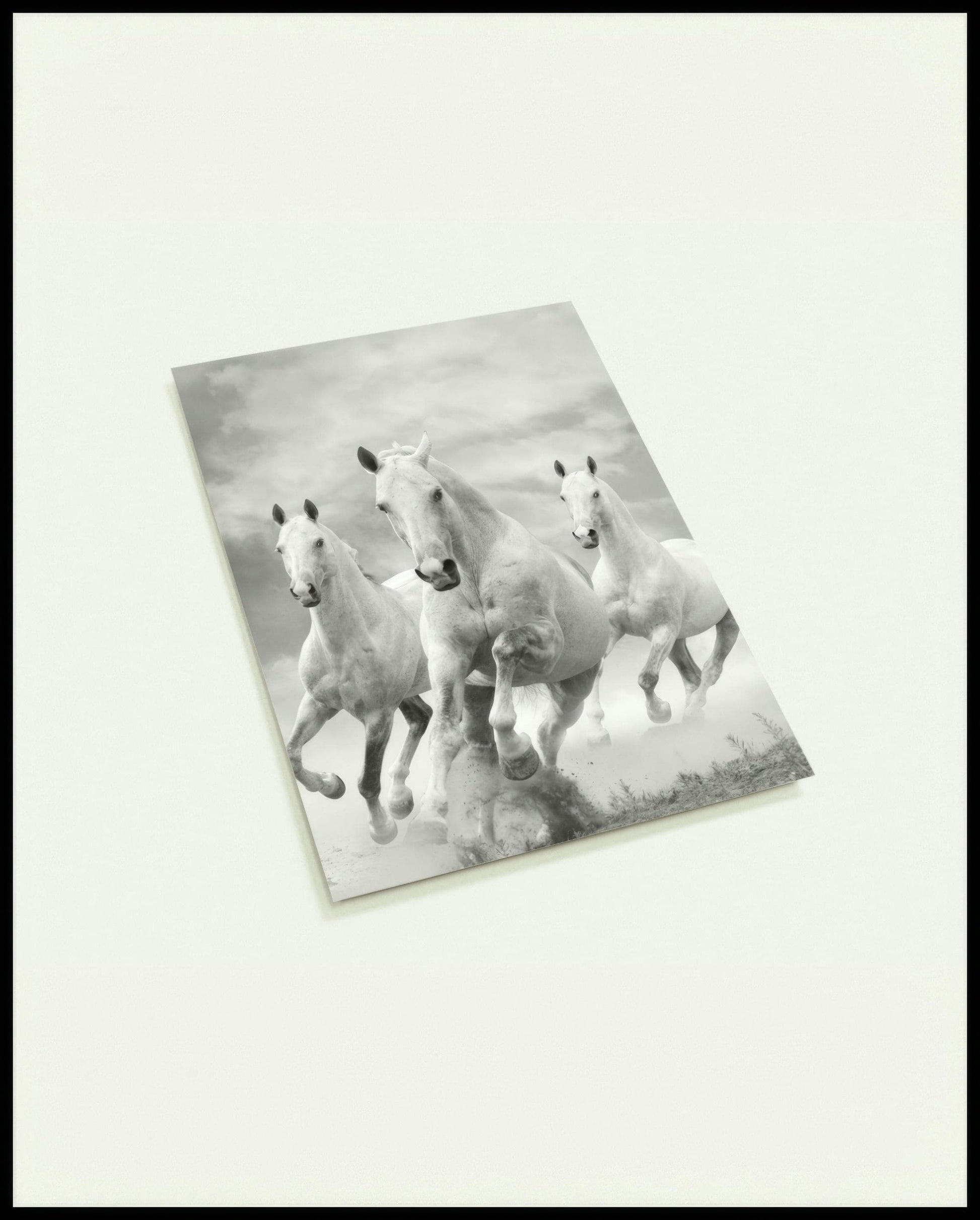 Eine Postkarte von drei weißen Pferden, die nebeneinander im Galopp durch eine staubige Landschaft rennen.