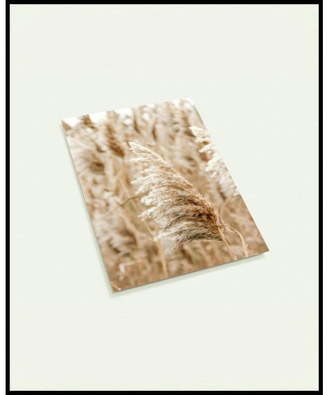 Eine Postkarte einer Nahaufnahme von einer Getreidepflanze, die sich im Wind bewegt.