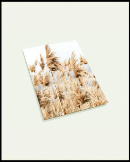 Eine Postkarte von mehreren Getreidesorten die sich im Wind bewegen.