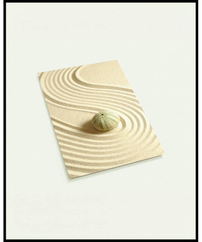 Eine Postkarte von einem Seeigel der auf feinem Sand liegt.