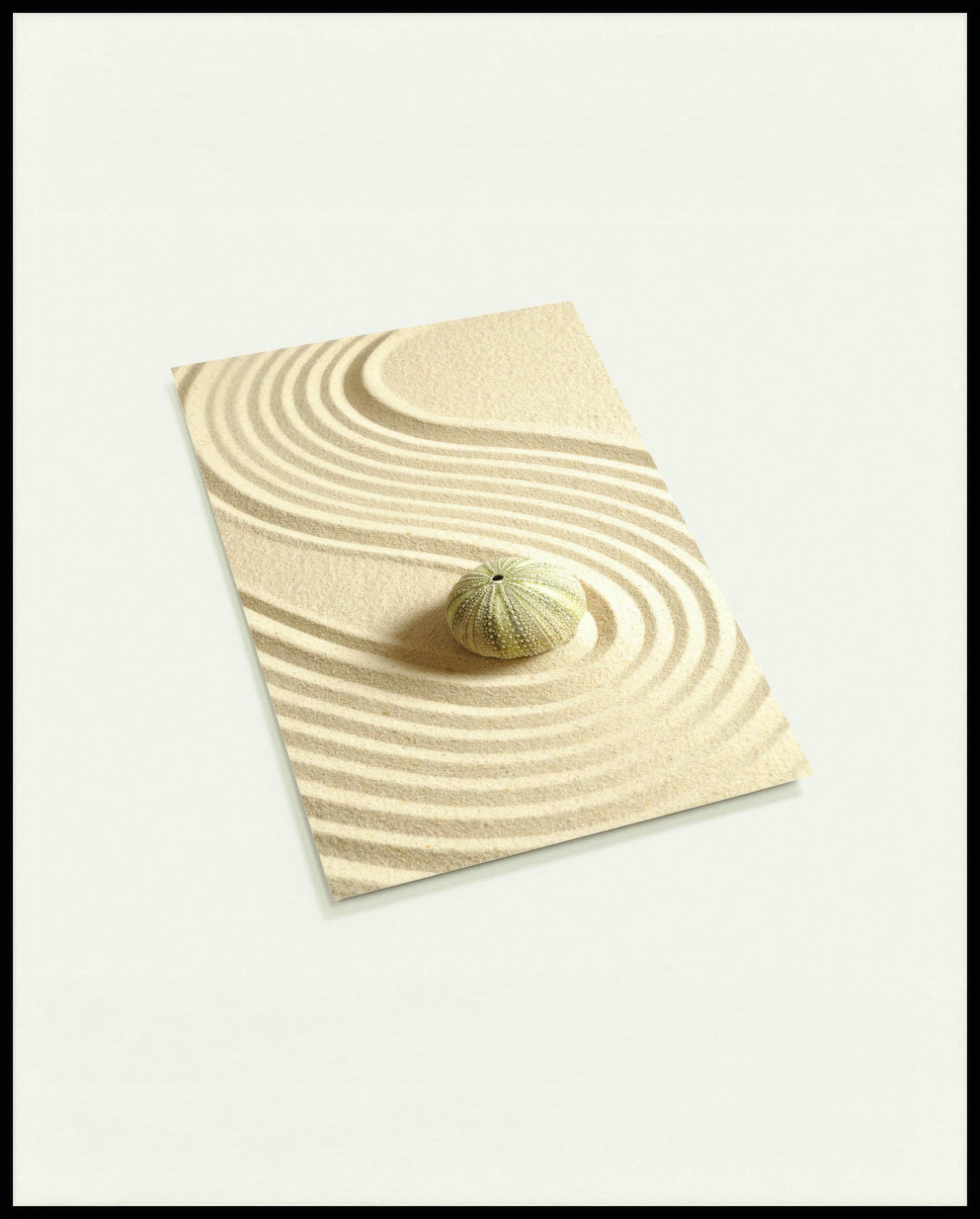 Eine Postkarte von einem Seeigel der auf feinem Sand liegt.