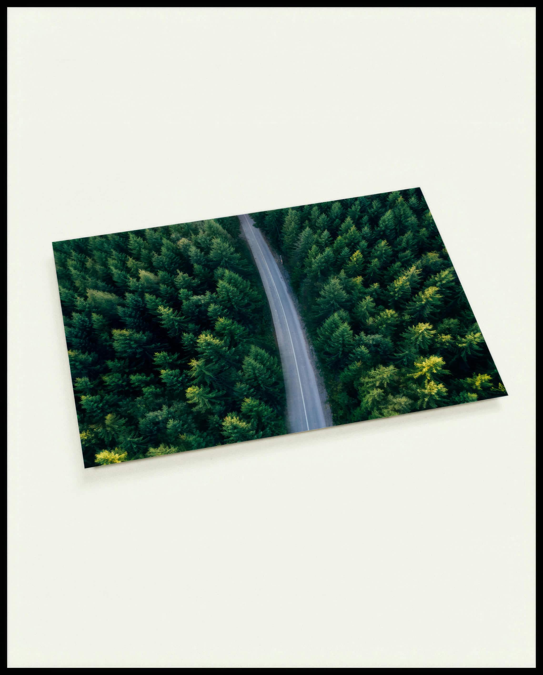 Eine Postkarte aus der Vogelperspektive von einer Straße die durch einen grünen Wald führt.