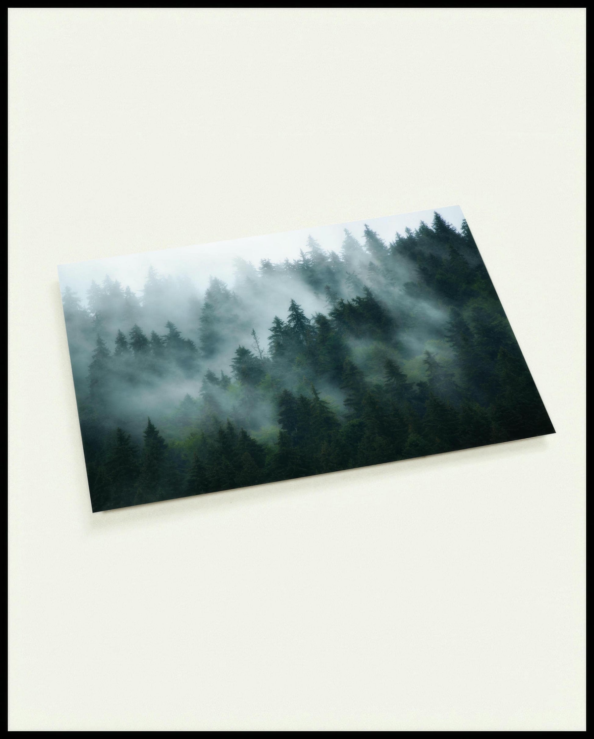 Eine Postkarte von einer nebligen Front eines Waldes, der sich über mehrere Ebenen erstreckt.
