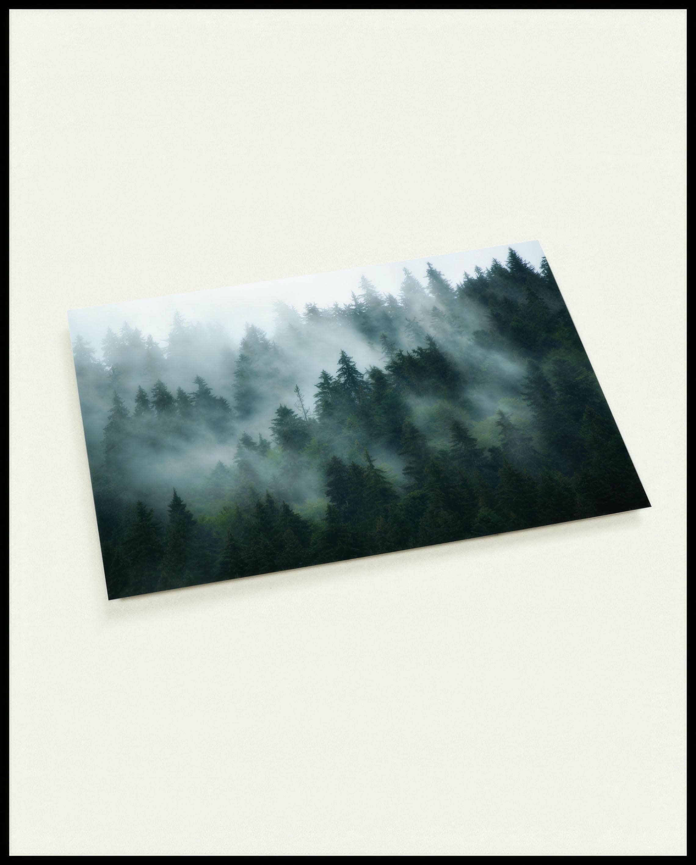 Eine Postkarte von einer nebligen Front eines Waldes, der sich über mehrere Ebenen erstreckt.
