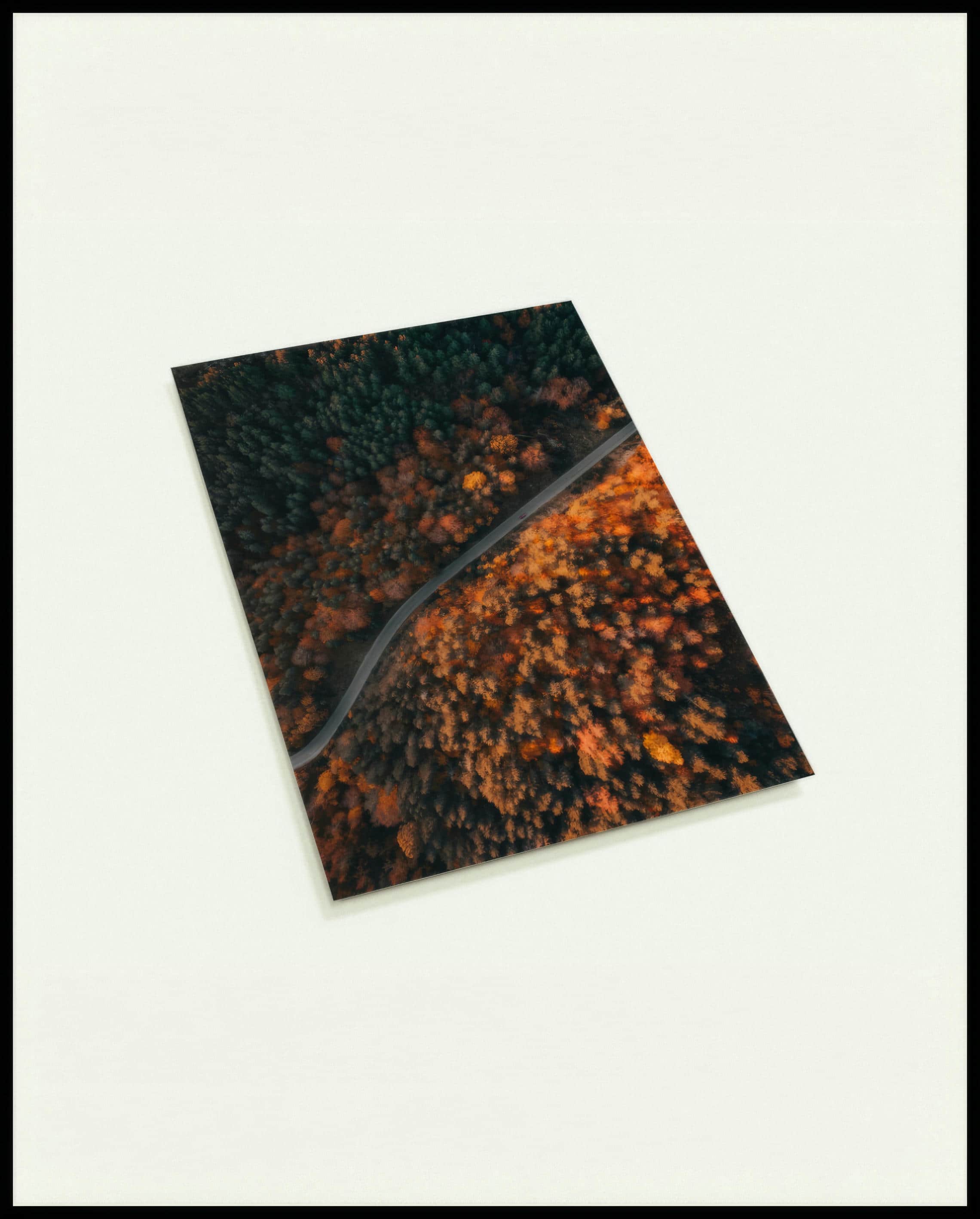Eine Postkarte aus der Vogelperspektive von einer Straße die durch einen herbstlichen Wald führt.