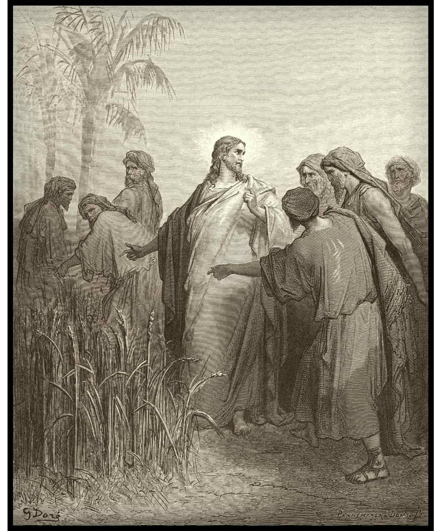 The disciples pluck grain on the sabbath