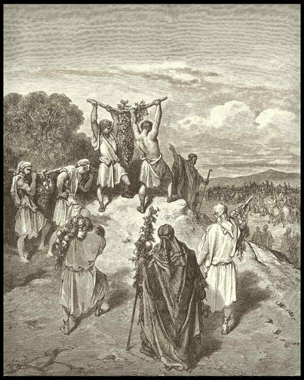 The spies return from the promised land