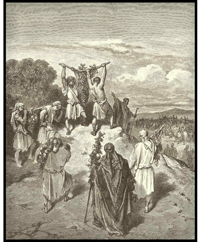 The spies return from the promised land